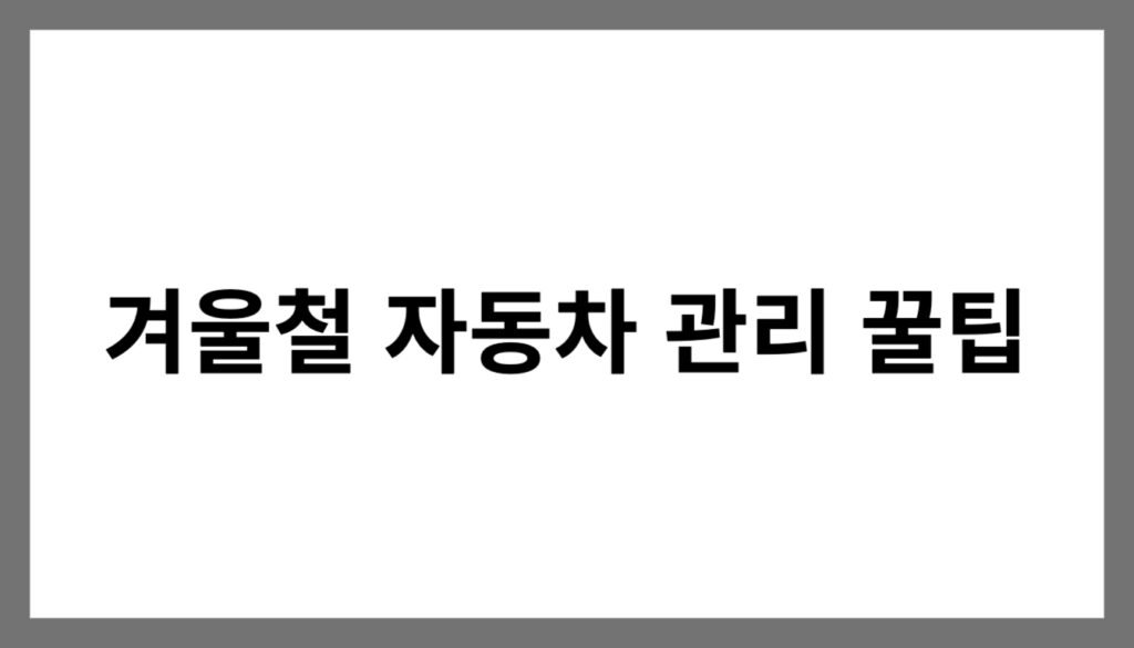 자동차 관리