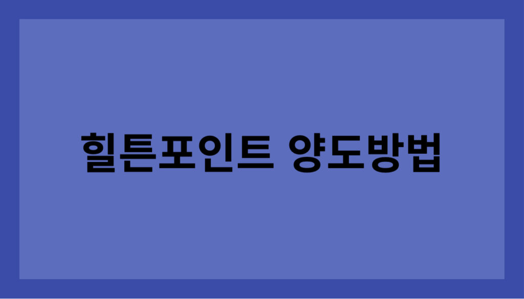 힐튼 포인트 구매